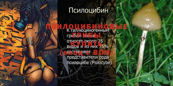 не бодяженный Уссурийск