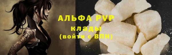 гашик Корсаков