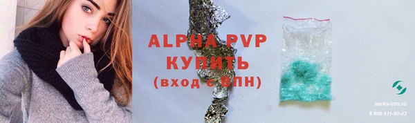 гашик Корсаков