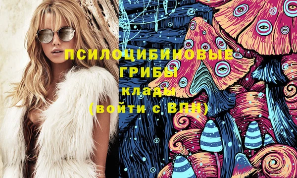 гашик Корсаков