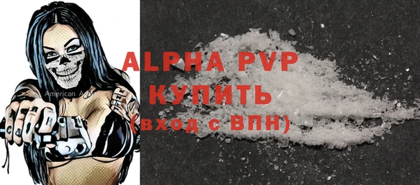 гашик Корсаков