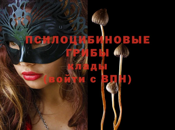 mix Коряжма