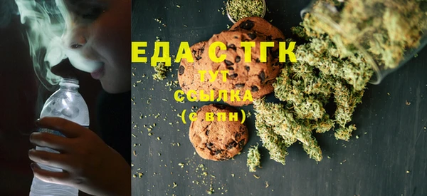гашик Корсаков